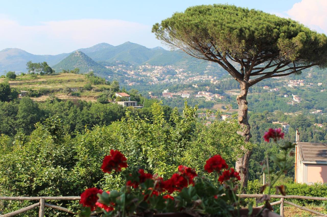 Casa Fasano Amalfi Coast Guest House Vietri Luaran gambar